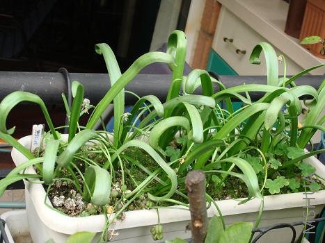 ���澹Ȼ��������