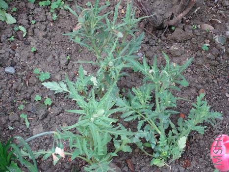 ����ȥ������������ˣ���8��