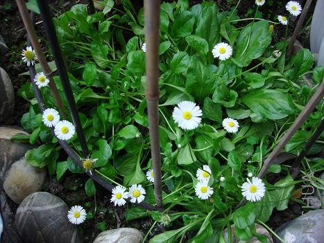 ��ɫ�ĳ������������ļ����¿��ö໶