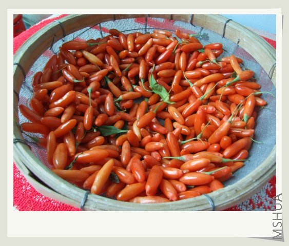 ������С ˮ�����45.JPG