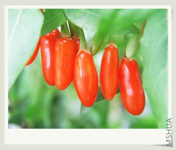 ������С ���a6.JPG