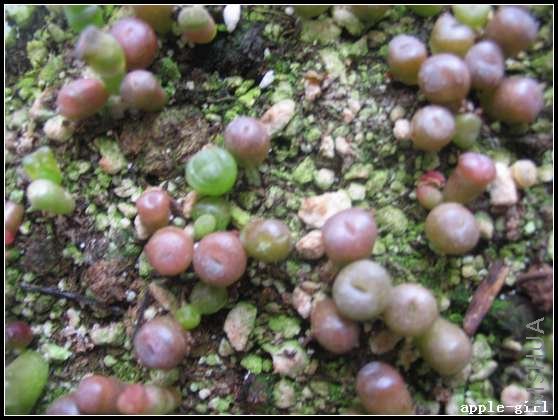 ��Ƭ20080408 037.jpg