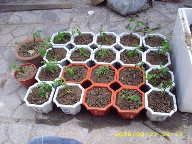 ��Ƭ 027.jpg