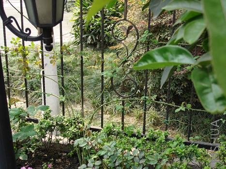 ǰ�������������������