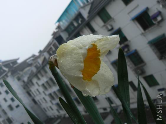 ������С P1050050.JPG