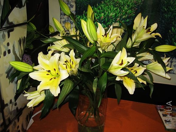 08԰��չ 277.jpg