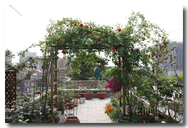 IMG_9389 ����.jpg