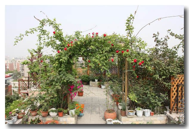 IMG_9391 ����.jpg