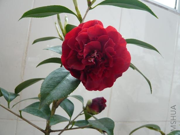 P1000357.JPG