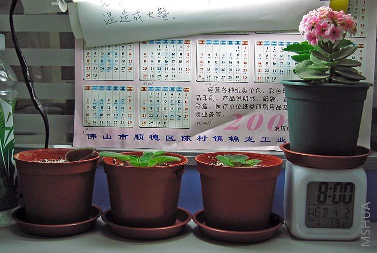 �칫������