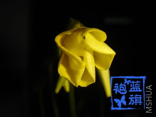 01����.jpg