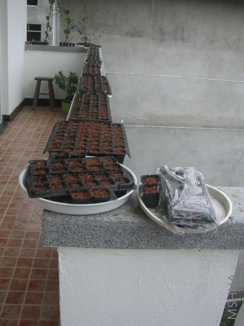 ��ת ��������1.JPG