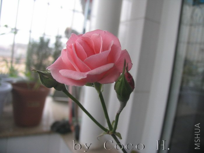 IMG_0003.jpg