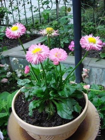 ��ɫ����ֻ��һ�ã����֣��ص㱣������