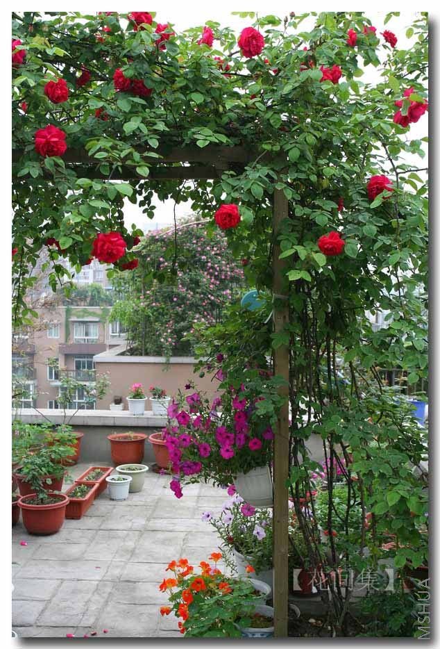 IMG_9267 ����.jpg