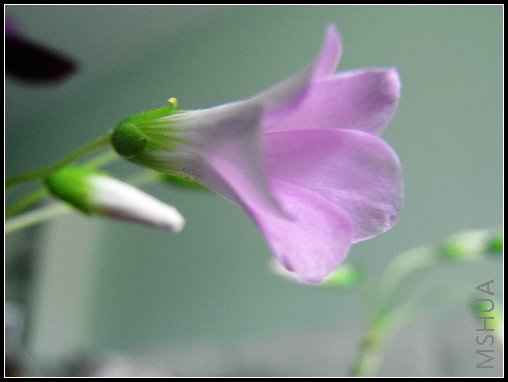 RIMG002100.jpg