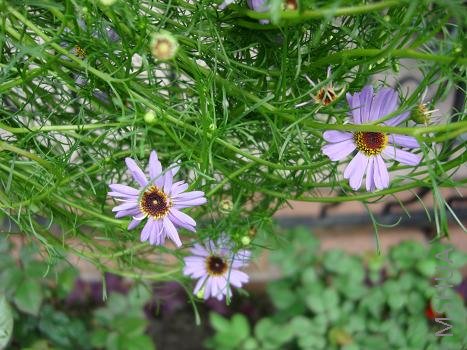 ���������������ʵ�ʿ�����һ����