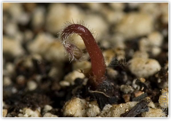 ������Щ������