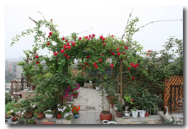 IMG_9263 ����.jpg