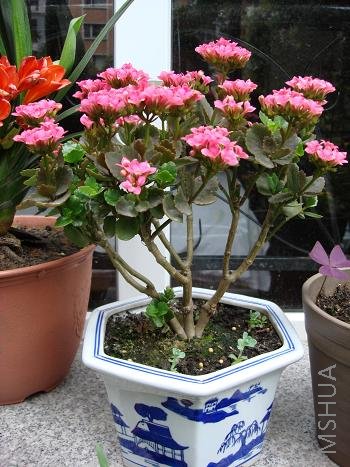 ��������Ľ��ѣ����ø���