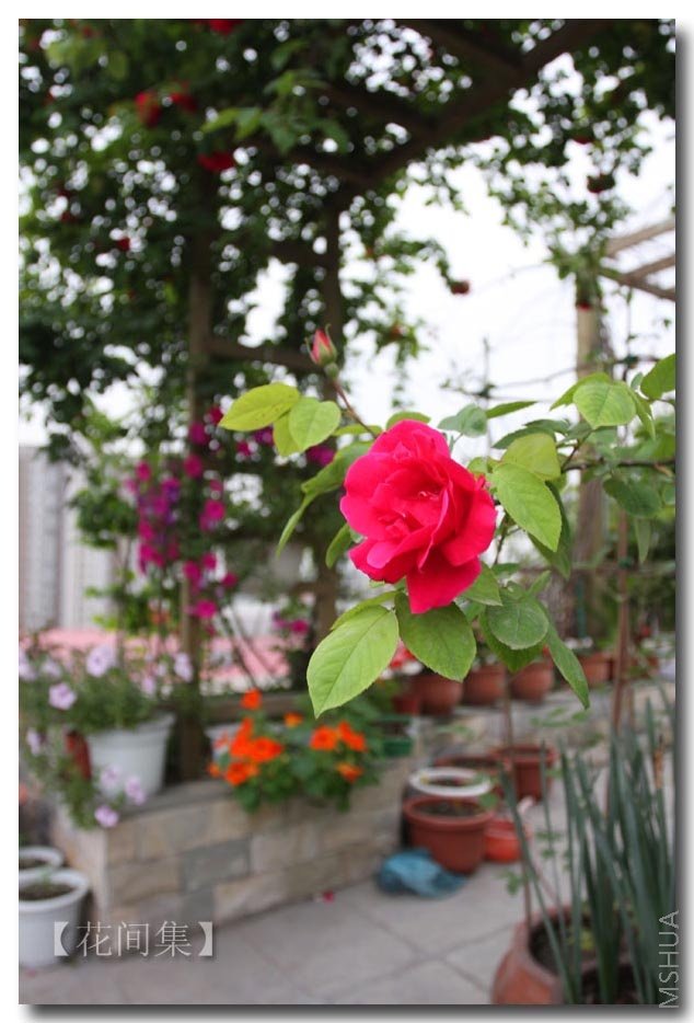 IMG_9481 ����.jpg