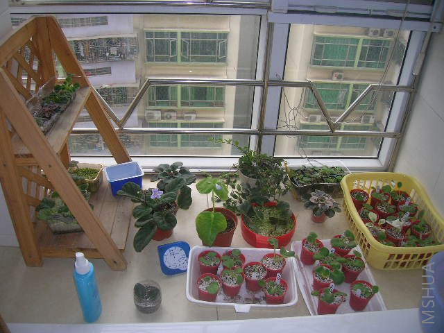 ����͹��