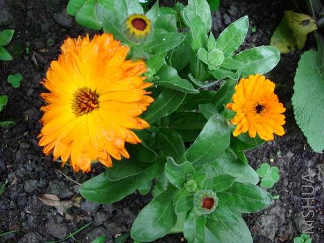 ��յ��������