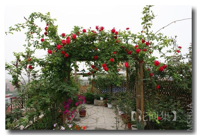 IMG_9264 ����.jpg