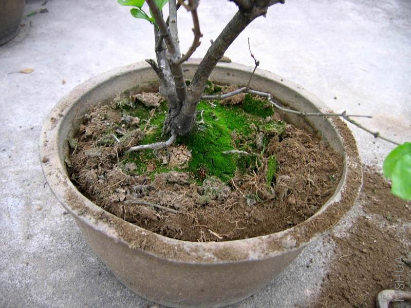 ������С �����ع� IMG_0015.JPG