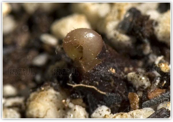 Ȼ���һ��һ����������������