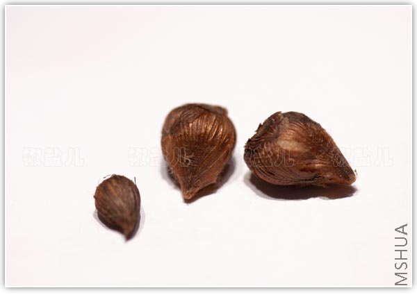 ����յ����������