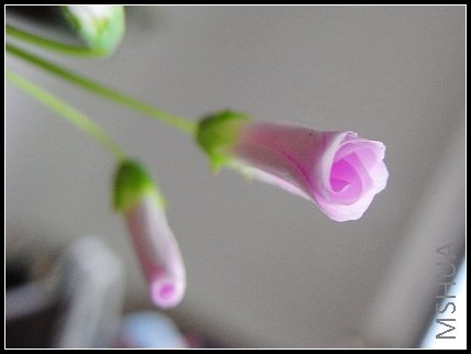 RIMG001900.jpg