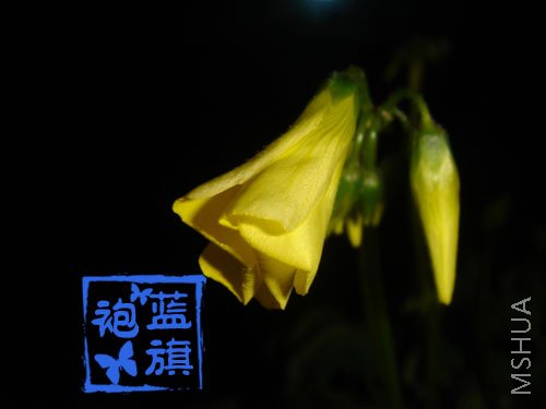 02.jpg