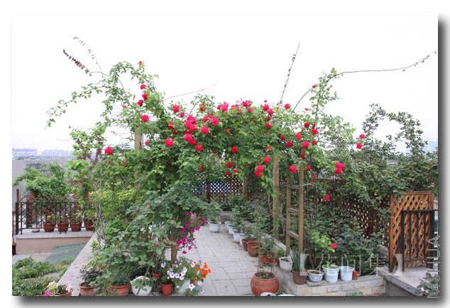 IMG_9477 ����.jpg