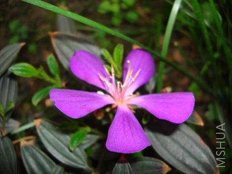 ��ĵ��¶�ع�����������ˣ��������Ļ����������ֿ�����