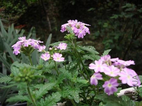 �ڴ������л���ݵ���˽����