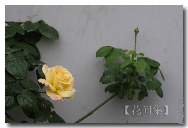 IMG_9489 ����.jpg