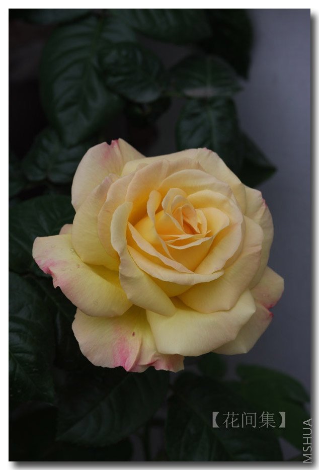 IMG_9491 ����.jpg