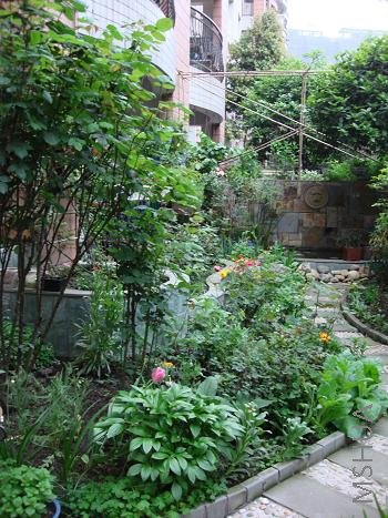 ��԰�����д�