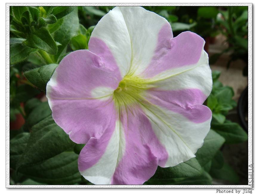 ���˵���