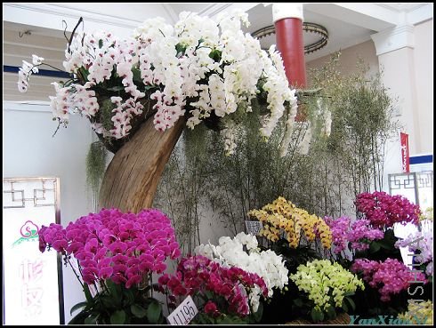 ��չ08 122.jpg