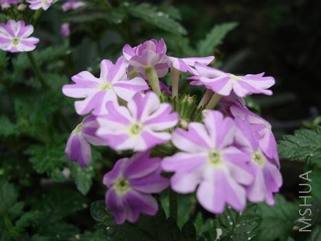 ����һ��