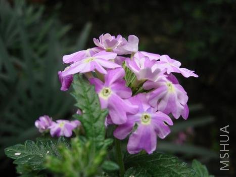 �⻨��������