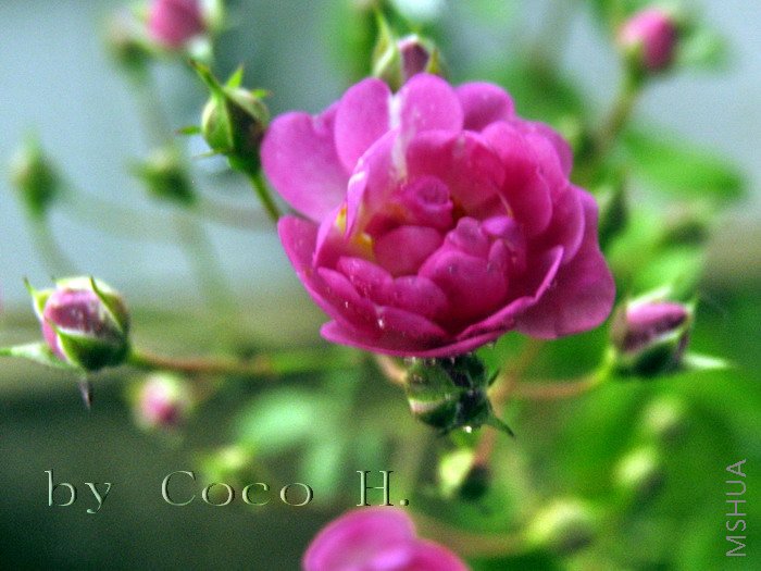 Ǿޱ2.jpg