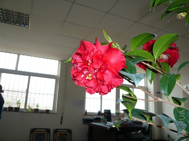 P1000364.JPG