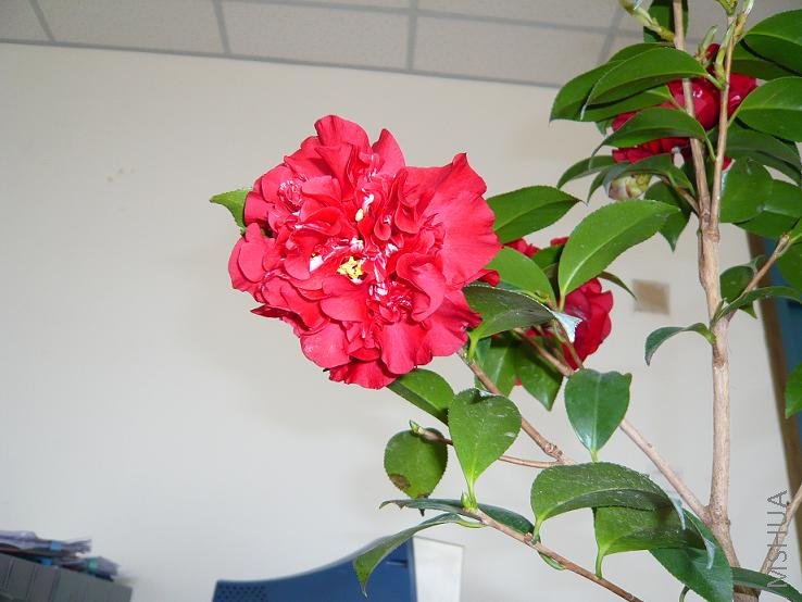 P1000361.JPG