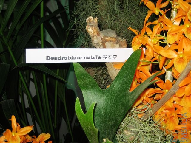 08԰��չ 044.jpg