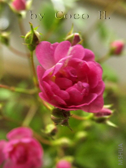 Ǿޱ3.jpg