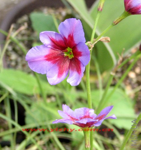 ��Ƭ 023.jpg