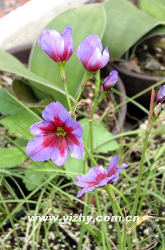��Ƭ 024.jpg